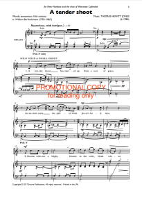 Hewitt Jones: A tender shoot SATB published by Encore