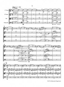 Saint Saens: The String Quartets (Study Score) published by Barenreiter