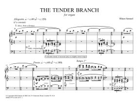 Samuel: The Tender Branch for Organ published by Stainer & Bell